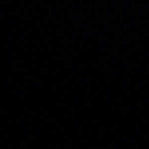 Meet your Posher, Katy